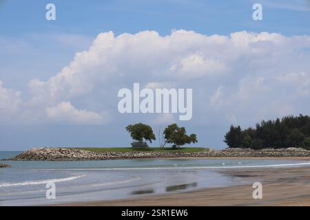 paysage vagues douces se brisant sur les plages de sable avec de l'herbe verte et des arbres sur la formation de terre renforcée rocheuse Banque D'Images