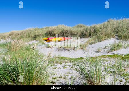 Laesoe, Danemark : deux canoës colorés gisant dans les dunes de la plage de Vesteroe Havn Banque D'Images