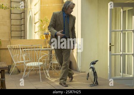 DATE DE SORTIE : 28 mars 2025. TITRE : les leçons de pingouin. STUDIO : Intake films. RÉALISATEUR : Peter Cattaneo. Avec Steve Coogan, nominé aux Oscars, cette dramatique poignante du réalisateur Peter Cattaneo suit l'éveil personnel et politique d'un Anglais après qu'il a adopté un pingouin au cours d'une période cataclysmique de l'histoire Argentine. EN VEDETTE : STEVE COOGAN dans le rôle de Tom Michell, Baba/Richard les pingouins dans le rôle de Juan Salvador. (Crédit image : © Intake films/Entertainment Pictures/ZUMAPRESS.com) USAGE ÉDITORIAL SEULEMENT ! Non destiné à UN USAGE commercial ! Banque D'Images