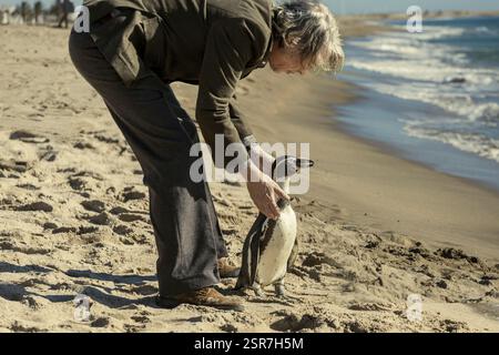 DATE DE SORTIE : 28 mars 2025. TITRE : les leçons de pingouin. STUDIO : Intake films. RÉALISATEUR : Peter Cattaneo. Avec Steve Coogan, nominé aux Oscars, cette dramatique poignante du réalisateur Peter Cattaneo suit l'éveil personnel et politique d'un Anglais après qu'il a adopté un pingouin au cours d'une période cataclysmique de l'histoire Argentine. EN VEDETTE : STEVE COOGAN dans le rôle de Tom Michell, Baba/Richard les pingouins dans le rôle de Juan Salvador. (Crédit image : © Intake films/Entertainment Pictures/ZUMAPRESS.com) USAGE ÉDITORIAL SEULEMENT ! Non destiné à UN USAGE commercial ! Banque D'Images