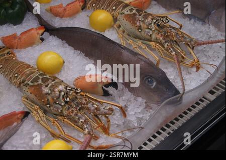 Fruits de mer frais présentés sur glace, avec homards vibrants, poisson assorti et élégante garniture de citron. Un avant-goût alléchant de l'excellence culinaire Awa Banque D'Images