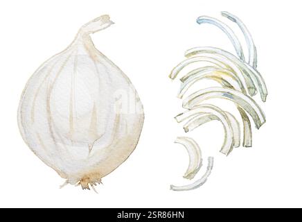 Illustration de baies d'argousier isolé sur blanc. Aquarelle peinte à la main Sea-buckthorn Taste concept clipart. Banque D'Images