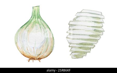 Illustration de baies d'argousier isolé sur blanc. Aquarelle peinte à la main Sea-buckthorn Taste concept clipart. Banque D'Images