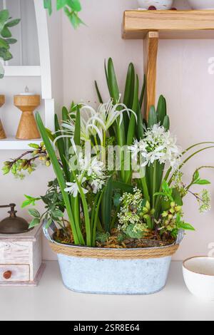 Pot décoratif rempli de plantes vertes luxuriantes et de fleurs blanches sur une étagère dans la cuisine sur une table blanche. Maquette de printemps, modèle. Composition de Pâques Banque D'Images