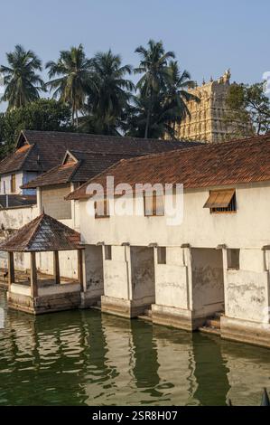 Temple Padmanabhaswamy, thiruvananthapuram, kerala, Inde, Asie Banque D'Images