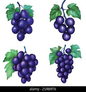Illustration d'aquarelle dessinée à la main d'un jeu de vignes d'aquarelle dessiné à la main qui a été tracé par image et vectorisé. L'illustration est parfaite pour n'importe quel d Illustration de Vecteur