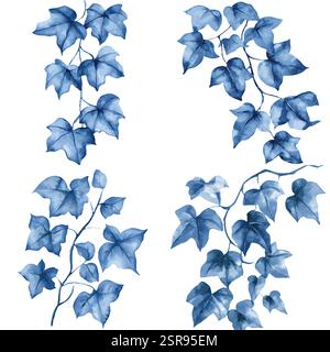 Une illustration d'aquarelle dessinée à la main de Vine Hand Drawn Set Collection qui a été tracée par image et vectorisée. L'illustration est parfaite pour n'importe quel design Illustration de Vecteur