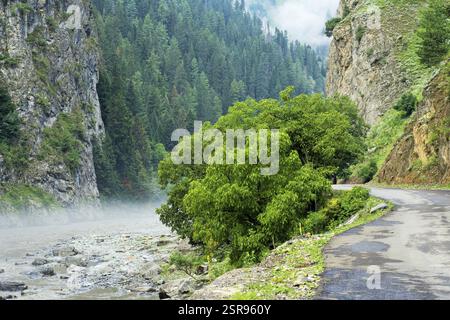 Route et Kishanganga rivière, vallée Gurez Bandipora, Cachemire, Inde, Asie, Banque D'Images