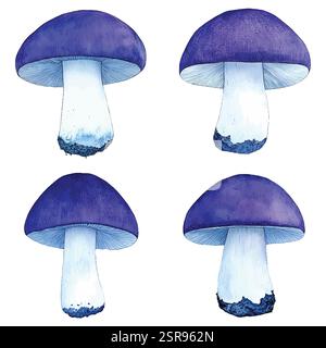 Une illustration d'aquarelle dessinée à la main d'un jeu d'aquarelles de champignon dessiné à la main qui a été tracé par image et vectorisé. L'illustration est parfaite pour n'importe quel de Illustration de Vecteur