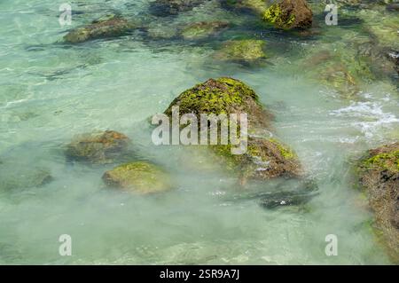 Rochers couverts de mousse le long de la plage de Prainha doucement lavés par les eaux cristallines de l'océan Atlantique sous une journée ensoleillée d'été après-midi Banque D'Images