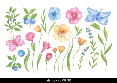 Un ensemble de fleurs, feuilles, papillons et baies, illustration d'aquarelle florale pour invitations de mariage, cartes de voeux, conception d'impression. Un ensemble de fleurs et de plantes colorées au printemps et en été. Banque D'Images
