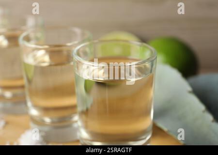 Coups de tequila avec du sel, des citrons verts et des feuilles d'agave sur la table, gros plan Banque D'Images