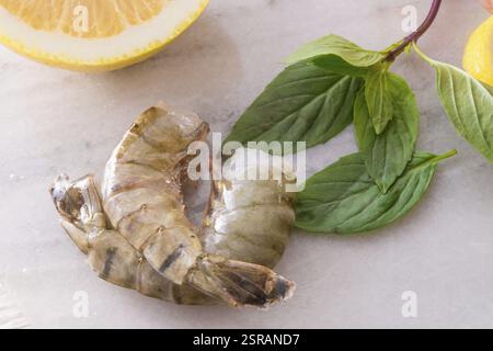 Crevettes fraîches Banque D'Images