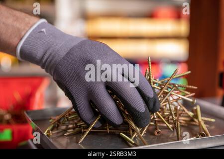 Tri manuel de différents types de fixations métalliques dans des environnements de configuration d'atelier dédiés Banque D'Images