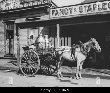 Femme bien habillée assise dans le chariot d'un carton de lait conduit par un cheval debout devant une épicerie à l'ancienne à la Nouvelle-Orléans Banque D'Images
