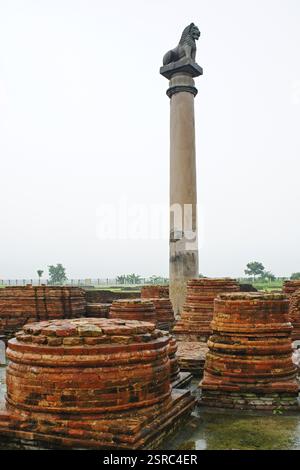 Pilier Ashoka, Kolhua, Vaishali, Bihar, Inde, Asie Banque D'Images