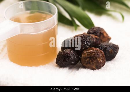 Noix de savon. Pile, nettoyant Banque D'Images