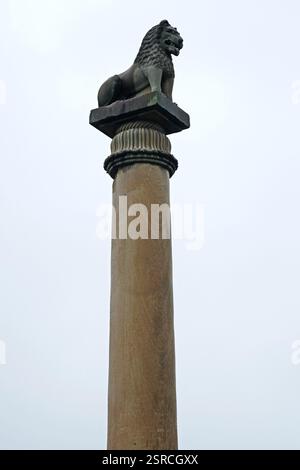 Pilier Ashoka, Kolhua, Vaishali, Bihar, Inde, Asie Banque D'Images