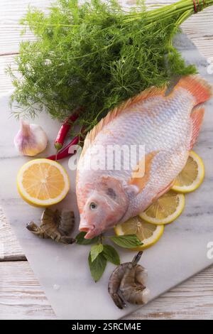 Fraîcheur rougit le poisson tilapia du Nil (Oreochromis niloticus) Banque D'Images