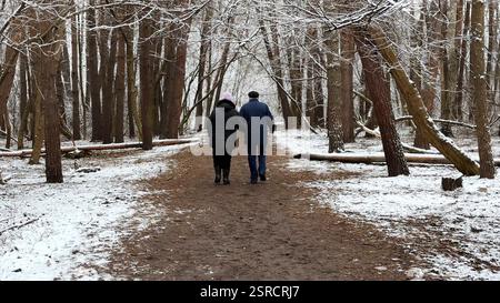 Couple mûr allant sur le chemin enneigé à la forêt de pins d'hiver. Mari senior et femme marchant à travers le sentier dans la forêt de conifères. Ancienne paire de Banque D'Images