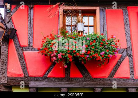 Détail de la façade d'une maison à colombages. Riquewihr, Sainte-Marie-aux-Mines, Colmar-Ribeauvillé, Haut-Rhin, Grand est, France, Europe Banque D'Images