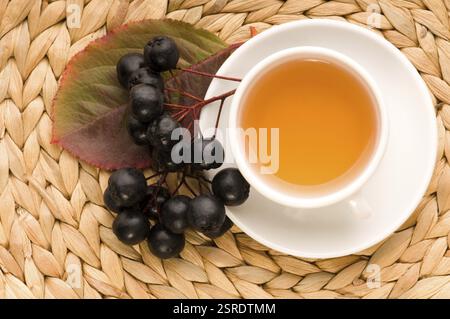Thé noir chokeberry, pologne Banque D'Images