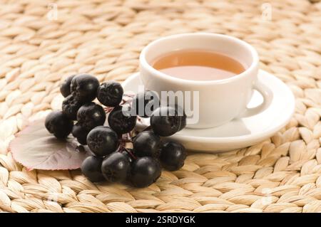 Thé noir chokeberry, pologne Banque D'Images