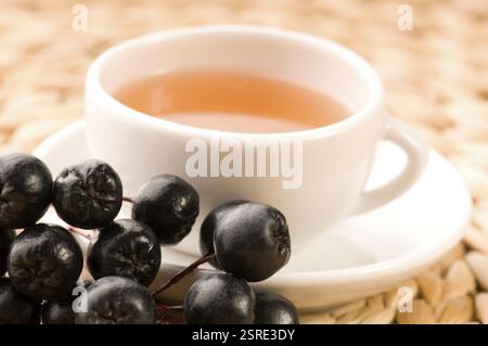 Thé noir chokeberry, pologne Banque D'Images