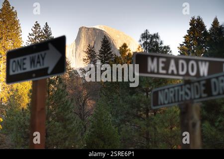 Panneaux de rue à sens unique à Meadow et Northside Dr, parc national de Yosemite, avec El Capitan en arrière-plan. Banque D'Images