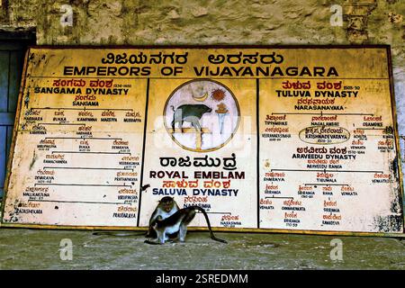 Dynastie Vijayanagara, Temple Virupaksha graphique, Hampi, Karnataka, Inde, Asie Banque D'Images