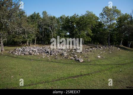 La ferme de Fjäle a été fondée il y a 2000 ans et a été abandonnée à la fin du XIVe siècle sur l'île suédoise de Gotland. Banque D'Images