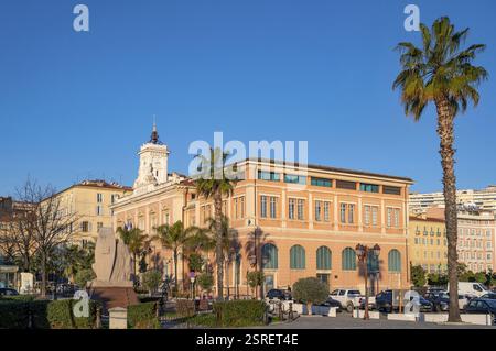 Vue depuis le port de la façade de l'hôtel de ville d'Ajaccio dans un style néoclassique avec tour de l'hôtel de ville et palmier dattier de l'île des Canaries Banque D'Images