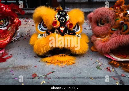 New York, États-Unis. 08th Feb, 2025. Gros plan des têtes de lion pendant l'événement. Plus de 20 troupes de danse Lion sillonnent les rues du quartier chinois de New York pour le Super Saturday en l'honneur du nouvel an lunaire. (Photo de Syndi Pilar/SOPA images/SIPA USA) crédit : SIPA USA/Alamy Live News Banque D'Images