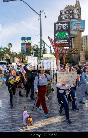 Las Vegas, États-Unis. 15 février 2025. Les manifestants prennent part à la manifestation de Las Vegas contre le fascisme et la haine sur le célèbre Las Vegas Strip à Las Vegas le 15 février 2025. (Photo de Travis P Ball/Sipa USA) crédit : Sipa USA/Alamy Live News Banque D'Images