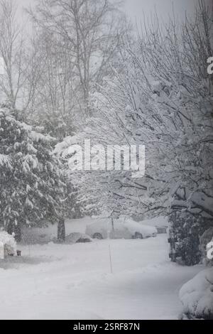 Scène hivernale enneigée avec des arbres drapés dans la beauté enneigée blanche. Banque D'Images
