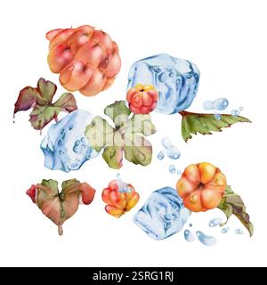 Framboise cloudberry volant dans l'éclaboussure de vague d'eau, glaçons, feuilles vertes et gouttes, dessiné à la main à l'aquarelle, baie de forêt d'été mûre. Isolé Banque D'Images