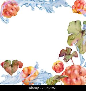 Framboise cloudberry volant dans l'eau des vagues éclaboussures de gouttes, dessiné à la main à l'aquarelle, baie de forêt rouge mûre et feuilles. Illustration du cadre carré Banque D'Images
