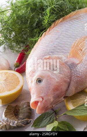 Fraîcheur rougit le poisson tilapia du Nil (Oreochromis niloticus) Banque D'Images