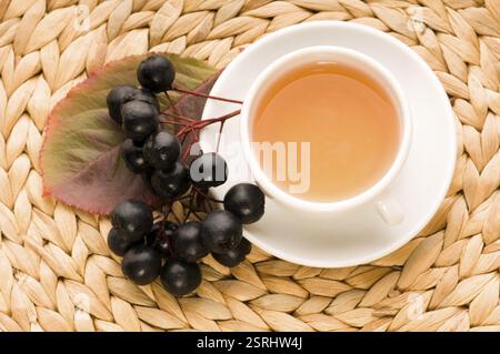 Thé noir chokeberry, pologne Banque D'Images