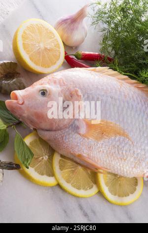 Fraîcheur rougit le poisson tilapia du Nil (Oreochromis niloticus) Banque D'Images