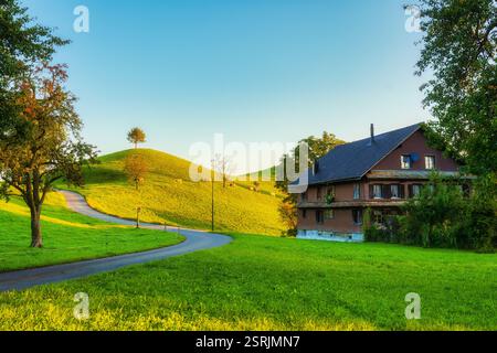 Vue pittoresque rustique du troupeau de vaches avec arbre solitaire et chalet en bois sur la colline verte le matin au village de Hirzel, Suisse Banque D'Images