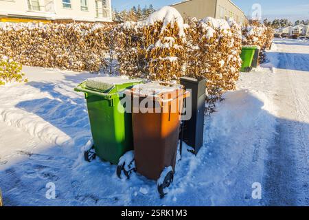 Poubelles vertes et brunes couvertes de givre debout sur une allée enneigée près d'une haie résidentielle le matin lumineux d'hiver. Suède. Banque D'Images