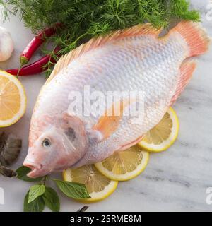Fraîcheur rougit le poisson tilapia du Nil (Oreochromis niloticus) Banque D'Images