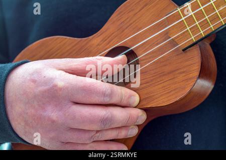 masculin jouant sur ukulélé Banque D'Images