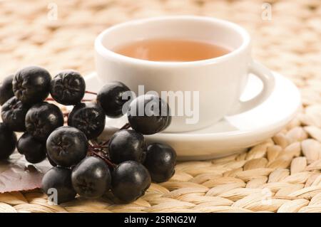 Thé noir chokeberry, pologne Banque D'Images