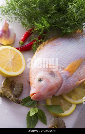 Fraîcheur rougit le poisson tilapia du Nil (Oreochromis niloticus) Banque D'Images