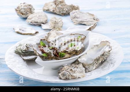 Auster Banque D'Images