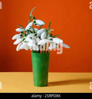 Belles fleurs blanches délicates de gouttes de neige dans un petit vase en verre vert sur fond orange. Décoration florale à la maison, design coloré avec espace copie. Banque D'Images