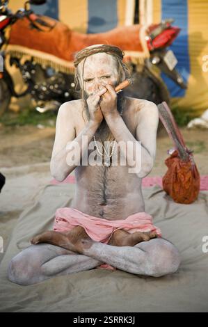 Naga sadhu manoj giri fumeurs chillum, Kumbh Mela, Madhya Pradesh, Inde, Asie Banque D'Images
