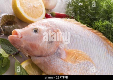 Fraîcheur rougit le poisson tilapia du Nil (Oreochromis niloticus) Banque D'Images